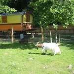 Charlotte La Roulotte